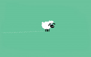     797785 (a): :2560x1600