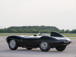 1955 jaguar d-type     2048x1536 1955 jaguar d-type, , jaguar