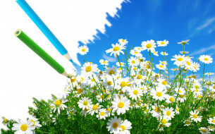     802171 (a): Anastasia :2850x1781