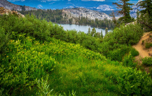 Yosemite National Park California     2000x1274 yosemite national park california, , , , , california, yosemite, park