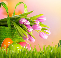      4200x4000 , , grass, eggs, basket, tulips, flowers, spring, easter