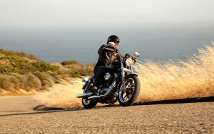 Harley-Davidson XL883 SuperLow     2560x1600 harley-davidson xl883 superlow, , harley-davidson, , , , , , 