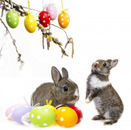      4233x4191 , - , easter, bunny, rabbit, spring, decoration, willow, twig, flowers, eggs, colorful, , , , , , , , , , 