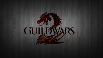 Guild Wars 2     1920x1080 guild wars 2,  , 