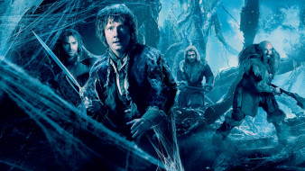 The Hobbit: The Desolation of Smaug     1920x1080 the hobbit,  the desolation of smaug,  , 