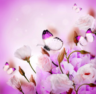     4500x4420 ,  , butterflies, , purple, , flowers