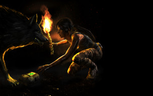 Tomb Raider обои для рабочего стола 4480x2800 tomb raider, видео игры, tomb raider 2013, wolf, волк, lara, croft, tomb, raider