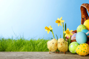      5380x3586 , , , , , springer, grass, daffodils, colorful, easter, spring, flowers, eggs, , , , 