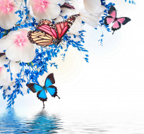      2400x2240 ,  , spring, blossom, tulips, purple, flowers, butterflies, reflection, water, , , , , , 