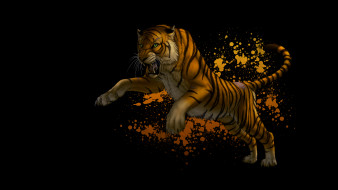 , , ,  , tiger
