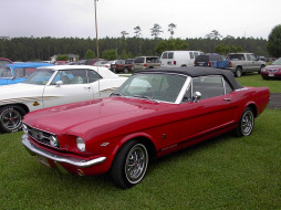 1965 FORD MUSTANG CONVERTIBLE CLASSIC     1600x1200 1965, ford, mustang, convertible, classic, 