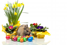      3000x2000 , ,  , , , easter, , , 