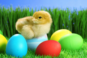      3000x2000 , ,  , , , easter, , 
