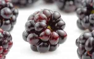 , , blackberries, , 