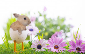      3000x1920 , ,  , easter, , , , , , , , , 