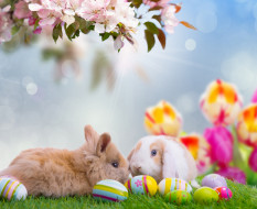      3000x2453 , ,  , , , , easter, , , , , , , 