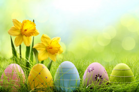      5760x3840 , , easter, , , , meadow, grass, flowers, eggs, daffodils, , sunshine, spring, , 
