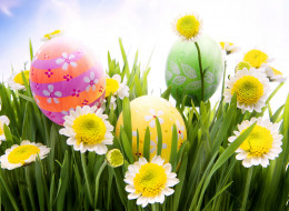 , , easter, spring, sunshine, meadow, grass, flowers, eggs, camomile, daisy, , , , , 