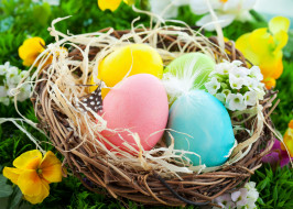     3000x2144 , , easter, basket, nest, flowers, spring, eggs, , 