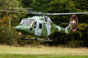 westland lynx ah7, авиация, вертолёты, поляна, лес, вертолёт, посадка