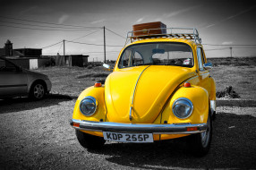 VW Beetle     2048x1365 vw beetle, ,    , , , 