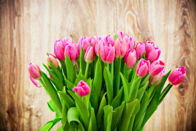      3960x2644 , , flowers, tulips, colorful