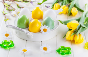      4000x2628 , , , eggs, flowers, , , spring, easter, , , colorful, tulips
