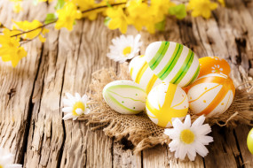      4000x2667 , , , easter, eggs, wood, flowers, camomile, 