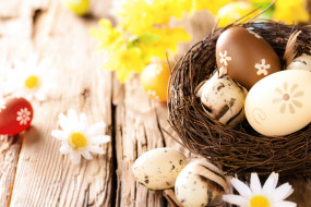      4000x2667 , , , , flowers, camomile, eggs, wood, easter