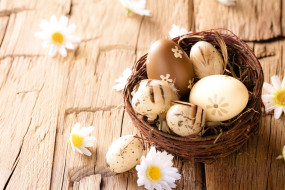      4000x2667 , , wood, eggs, easter, camomile, flowers, , 