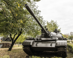 T-55 M     2048x1648 t-55 m, ,  , , 