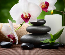      3500x3009 , ,  ,    spa-, , orchid, flowers, , candle, stones, zen, spa, 