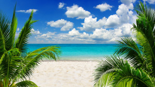      3200x1800 , , blue, , , ocean, emerald, beach, sunshine, , coast, paradise, vacation, sky, sea, summer, , tropical, palm, , , , , sand