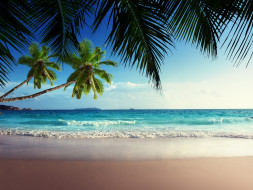      4000x3014 , , , , , , , sea, tropical, paradise, sunshine, beach, coast, , , vacation, sand, summer, palm, blue, emerald, ocean, sky, 