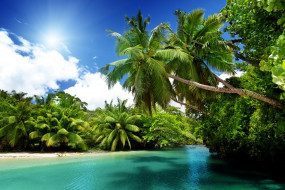      4000x2667 , , , , sea, blue, emerald, ocean, palms, summer, vacation, , , beach, paradise, tropical