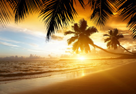      3500x2415 , , , , , , , , sand, summer, palm, ocean, sea, coast, beach, paradise, sunset, tropical