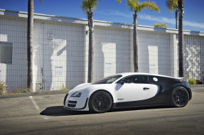 Bugatti Veyron Pur Blanc     2048x1357 bugatti veyron pur blanc, , bugatti, a, s, automobiles, , -, 