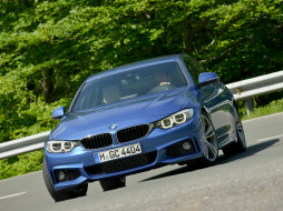      2048x1536 , bmw, , 2014, f36, package, sport, coup, m, gran, 428i