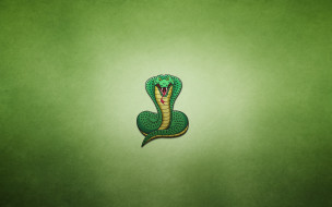      1920x1200 , , , , , , snake, cobra