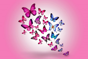      5010x3340 , ,  , colorful, marika, design, butterflies, , blue, pink