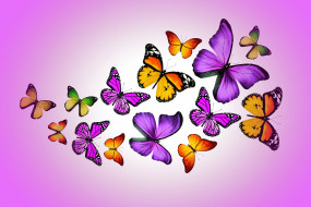      5010x3340 , ,  , butterflies, design, by, marika, colorful, purple, 