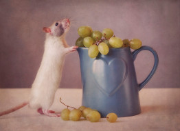 животные, крысы,  мыши, виноград, сердечко, кружка, чашка, стол, белая, крыса