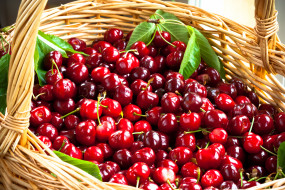      4493x2996 , ,  , , , , basket, fruit, cherries