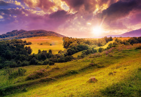      2560x1764 , , , , , , , , hills, trees, lawn, meadow, flowers, sun, nature