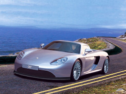 9ff-Porsche-Carrera-GT-1-bi     1024x768 9ff, porsche, carrera, gt, bi, 