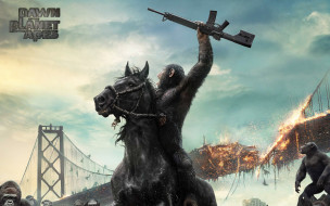 Dawn of the Planet of the Apes     1920x1200 dawn of the planet of the apes,  , , , 