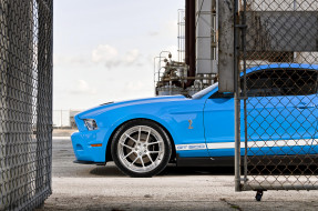      4247x2821 ,  , , , , gt500, shelby, , , mustang, ford