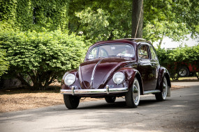 VW Beetle     2048x1367 vw beetle, , volkswagen, , , 