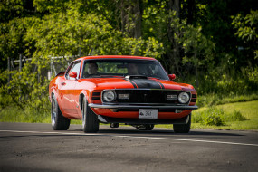 Ford Mustang     2048x1367 ford mustang, , mustang, , , 