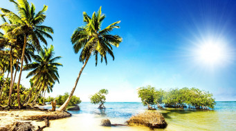 природа, тропики, summer, sunshine, ocean, sea, beach, берег, песок, пальмы, море, пляж, vacation, palms, paradise, tropical